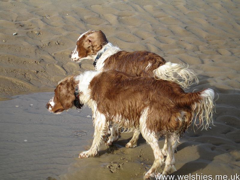 2011-10-29 15.JPG